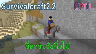 ขี่ลาระวังกิ่งไม้ | survivalcraft2.2 EP111 [พี่อู๊ด JUB TV]