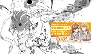 "Magic Forbidden Gaiden/Hippo Net" explodes: Raijin Koto vs Angel Bee and the death of Kamijou Touma