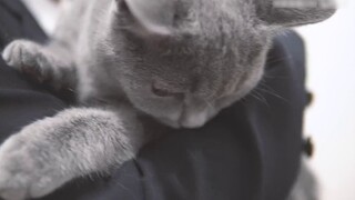 【Vũ đạo lắc vai】Kiệt tác sử thi! Sự kết hợp giữa quản lý biểu cảm tuyệt đẹp và đội hình siêu đẳng!