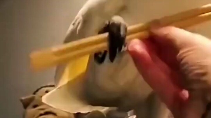 Shake too long