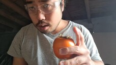 ASMR EATING JAPANESE FRUIT _KAKI_ PERSIMMON & MECHANIC ROLEPLAY