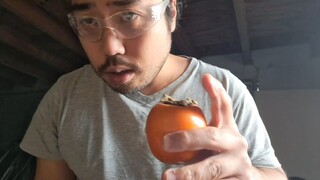 ASMR EATING JAPANESE FRUIT _KAKI_ PERSIMMON & MECHANIC ROLEPLAY