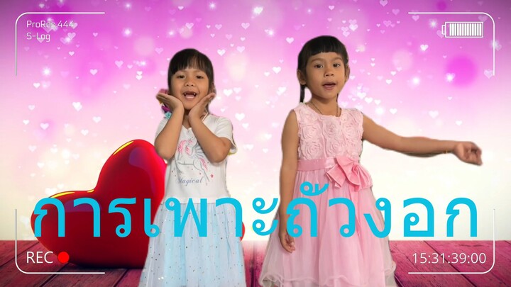 การเพาะถั่วงอก (แบบง่าย) อนุบาล 1 โรงเรียนอนุบาลสรรพยา