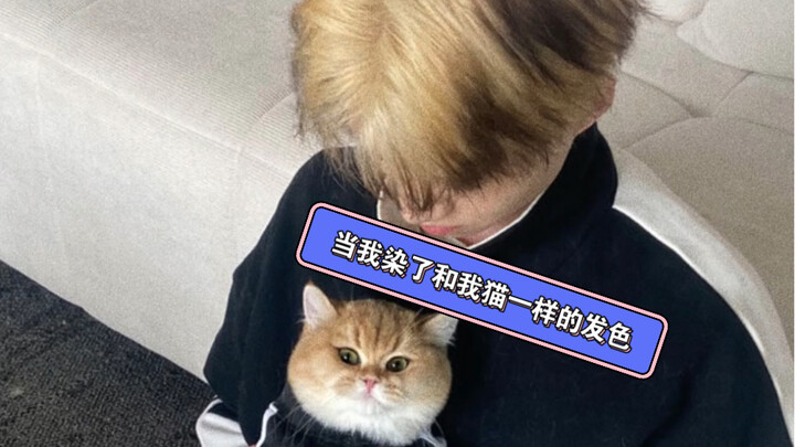 When I Dyed My Hair the Same Color as My Cat