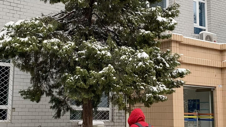 Đại hội những hành vi khó hiểu của con người mùa đông