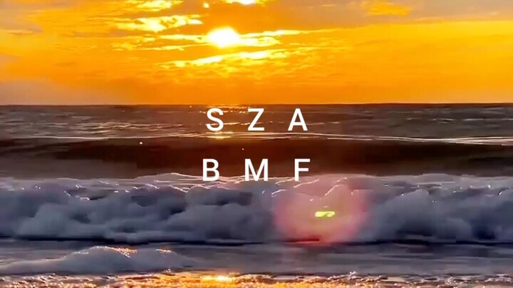 SZA BMF
