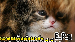 รวมพลแก๊งค์แมวฮ่า ซีซั่น2 EP5 พากย์นรก