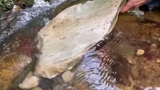 Cooking a steak🥩 in nature how delicious, what a beauty