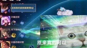Woohoo, saya tidak akan pernah meminta siapa pun untuk berbagi skin lagi...