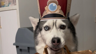 这一天天的要求还挺多