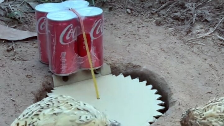 [World Curiosities Commentary] The creator is exploring—welcome to the channel! Please like, share, 