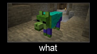 Minecraft wait what meme part 79 (zombie wolf)