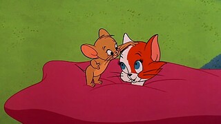 ☝🤓【القط والفأر】⚡⚡⚡ رعاية القط الصغير