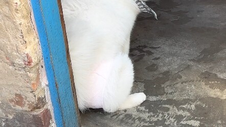 “Today, my baby’s butt suddenly started bleeding a lot, it scared me so bad I peed myself!”