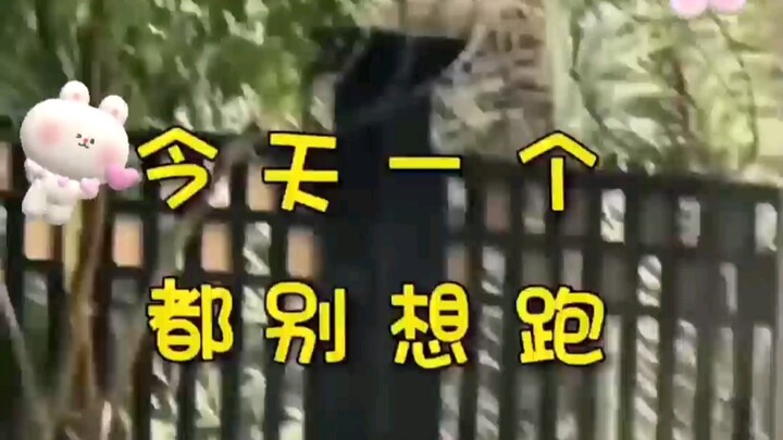 ليس سقوطه على الأرض بلا سبب.