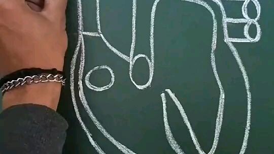 how to draw heart ❤️