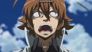 Top 10 Harem Anime where Main Lead Fall In Love With Older Girls
