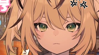 It's a cat that likes to compete with the captain's pet for favor~