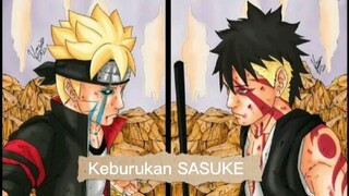 SASUKE