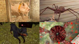 Creepy Pets #2 | Granny's Spider🕸Mr. Meat's Pig🕸HeadHorse Dog🕸Grandpa's Octopus