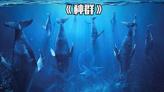 海洋生物发生变异，引发剧毒传染病，科幻片
