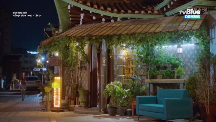 True beauty // t24.   (3)