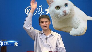 张三打飞小猫咪，如何定罪？