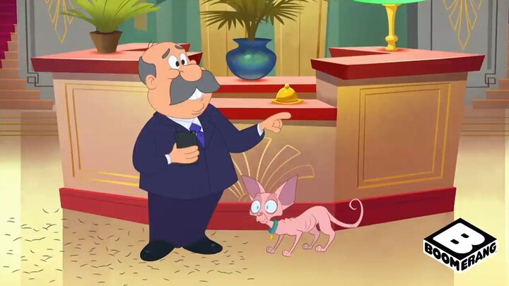 tom and jerry new york