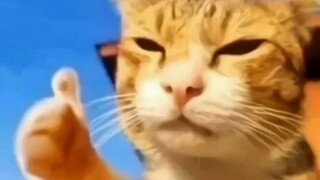 奖励一下自己怎么了