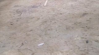 4th Fight Champion, 4cock Derby