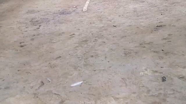 4th Fight Champion, 4cock Derby