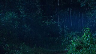 EP.01-10  บันทึกหิมะ