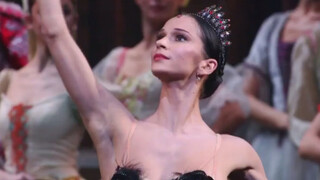 柴可夫斯基150周年纪念音乐会黑天鹅选段Polina semionova & Roberto Bolle