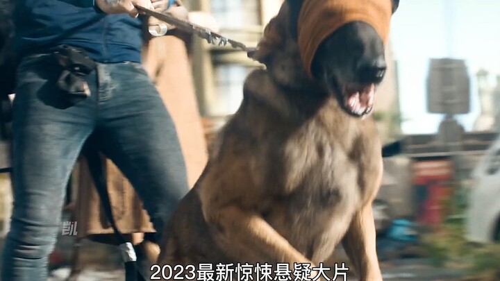 ما إن تفتح عينيك وترى الوحش، فلن تعيش أكثر من دقيقة.