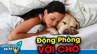 7 Đám Cưới Kỳ Lạ và Khó Tin Nhất Giữa Con Người và Động Vật Từng Diễn Ra Trên TG | Khám Phá Đó Đây