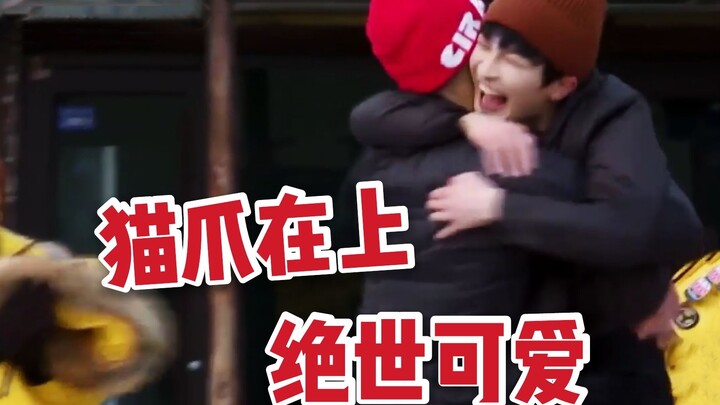 【โจวเซิน】รวมคลิปสุดฟิน! อ้อมกอดน่ารักจากเล็บแมวน้อยของเซินเซิน