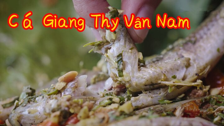 Cá Giang Thủy Vân Nam