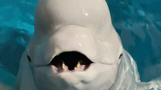 การสอบคณิตศาสตร์ทำให้นักเรียนตัวเล็กดำโมโหอีกแล้ว