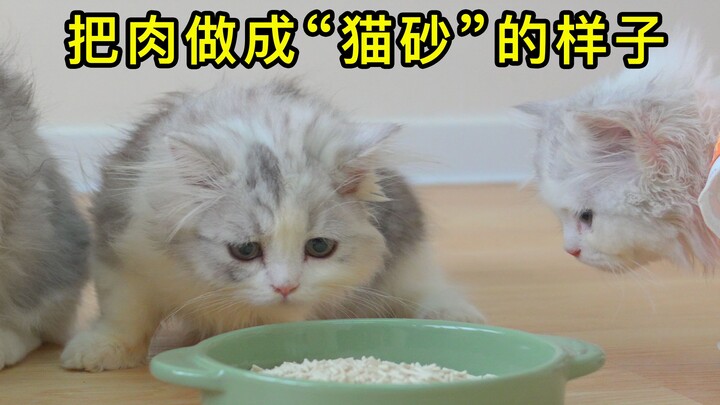 Turning chicken into “cat litter”—will cats eat it or use it as a toilet?
