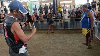 Bulik win. panalo pa kahit naunahan na