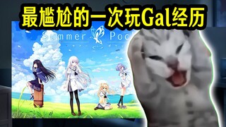 【猫meme】在宿舍玩Galgame千万要小心——就算是全年龄也一样