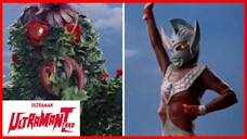 ULTRAMAN TARO1973 (อุลตร้าแมน ทาโร่) episode 11 ดอกไม้อาฆาต