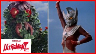 ULTRAMAN TARO1973 (อุลตร้าแมน ทาโร่) episode 11 ดอกไม้อาฆาต