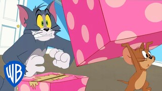 Tom und Jerry auf Deutsch 🇩🇪 | Die mysteriöse Kiste | WB Kids