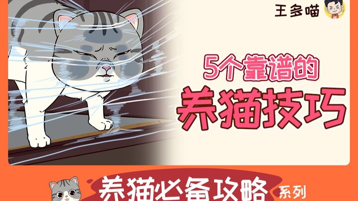 Nhìn thì chẳng có ích gì nhưng lại cực kỳ đáng tin! 5 mẹo nuôi mèo siêu hay ho – chắc bạn vẫn chưa b