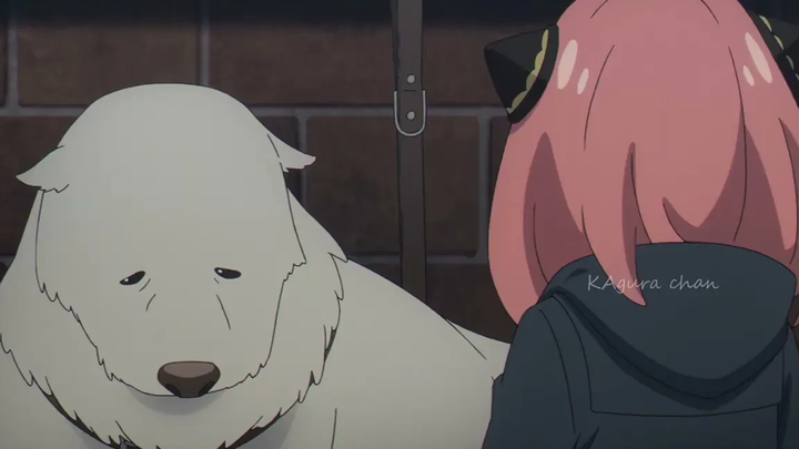 อัญญาไปช่วยหมา 🇺🇸 (สายลับ x ครอบครัว )