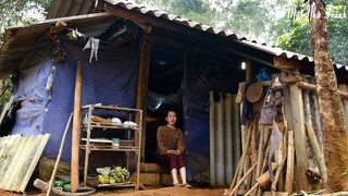 Tin buồn Mái Nhà Tranh gặp khó khăn phải lên rừng sống ( Go To The Forest To Survive ).