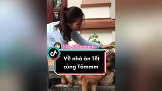 sponsored Năm nay bạn có về quê ăn Tết Dương hongg.  betom#beggie#thucung#chocanh#cute#dangyeu#fyp#viral#xuhuong