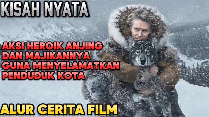 KISAH NYATA SEEKOR ANJING DAN MAJIKANNYA MENYELAMATKAN PENDUDUK KOTA DARI VIRUS‼️Alur cerita film