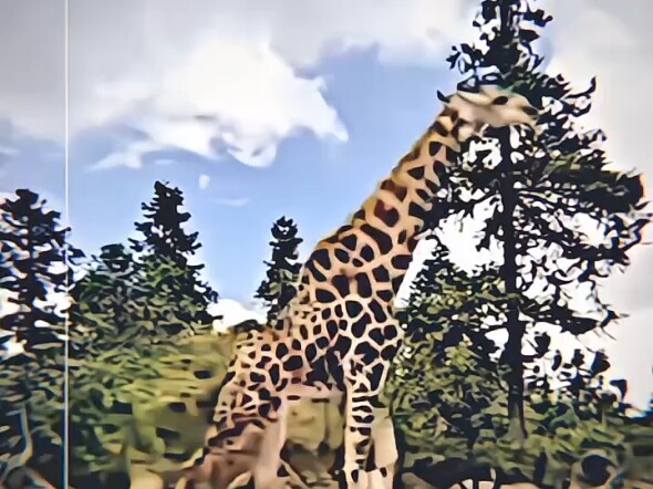 กลายเป็นอะไรไปแล้ว